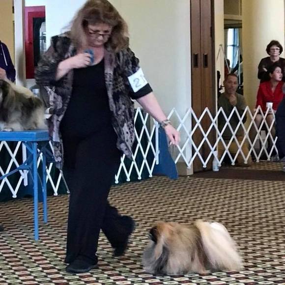 Meet your Posher, Susan - Picture 1 of 1